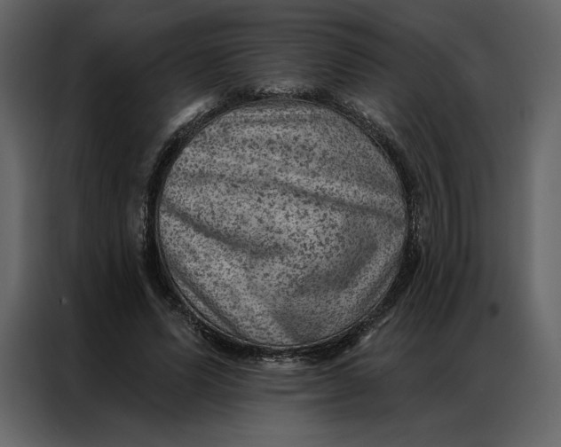 X0000086980591200705071418