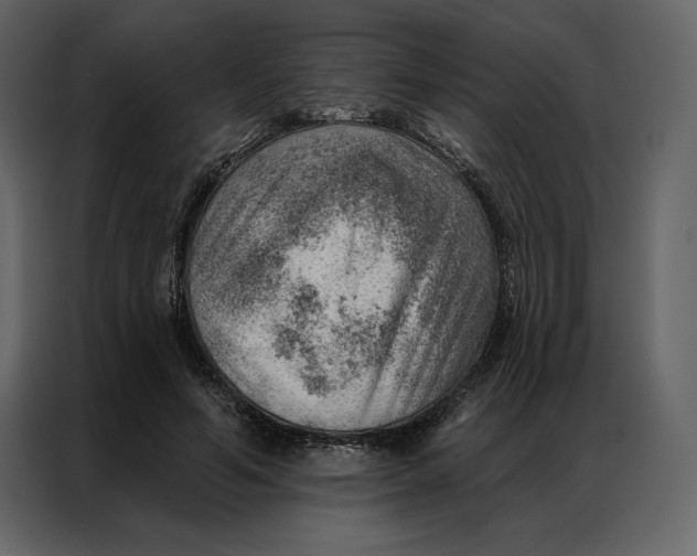 X0000086980594200705071418