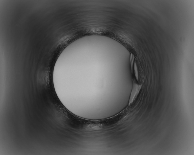 X0000086980595200705071418