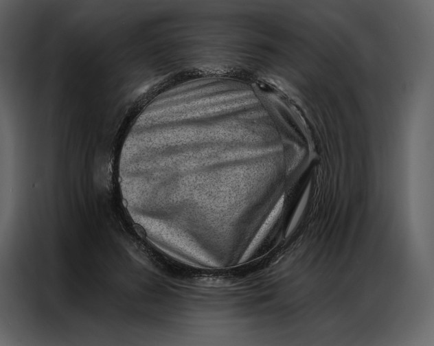 X0000086980596200705071418