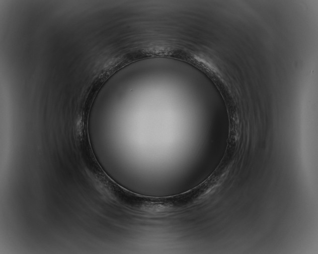 X0000086980597200705071418