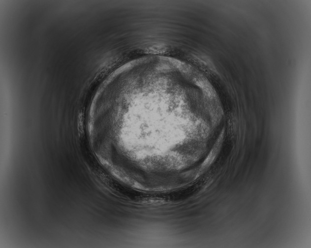 X0000086980598200705071418