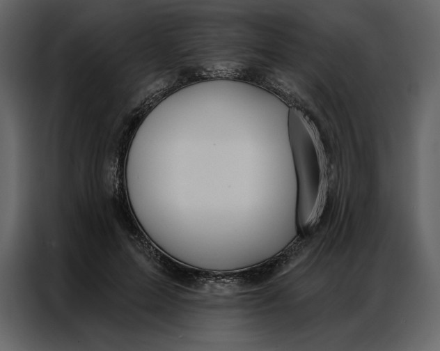 X0000086980599200705071418