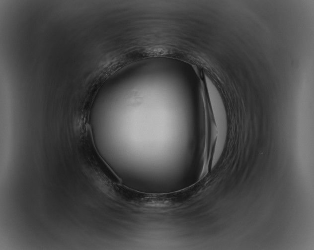 X0000086980601200705071418