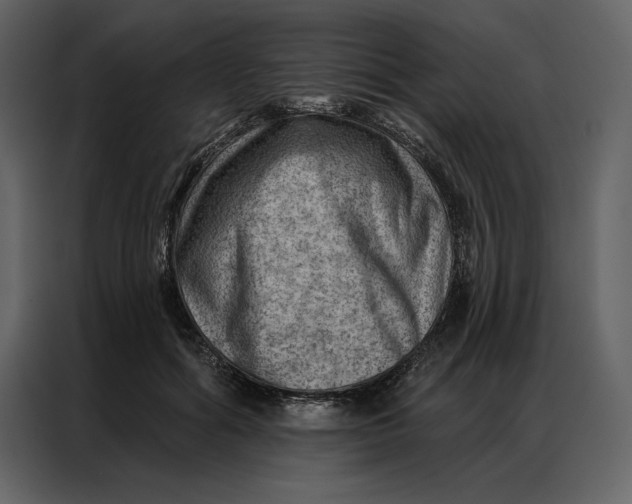 X0000086980602200705071418