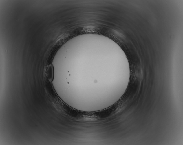 X0000086980603200705071418