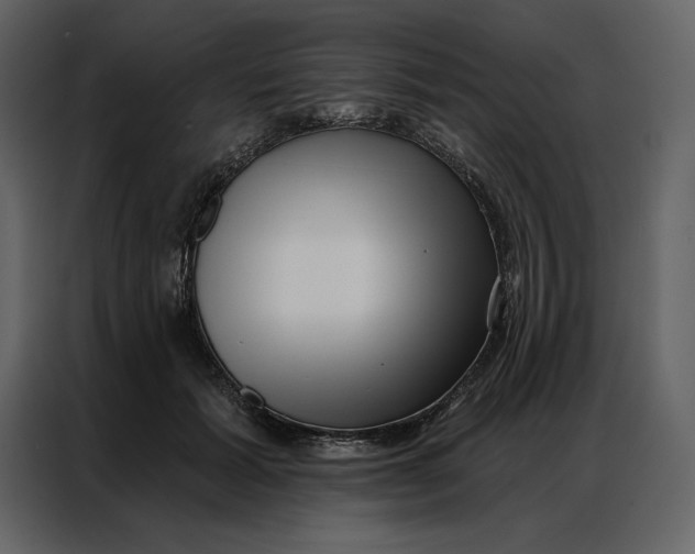 X0000086980605200705071418