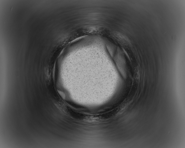 X0000086980607200705071418