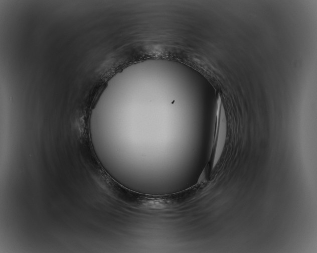 X0000086980611200705071418