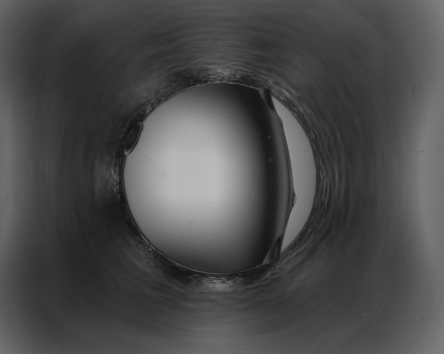 X0000086980613200705071418