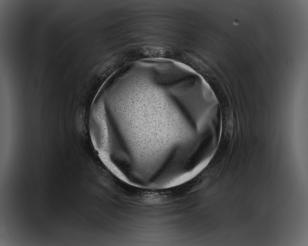 X0000086980616200705071418