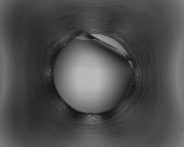 X0000086980617200705071418