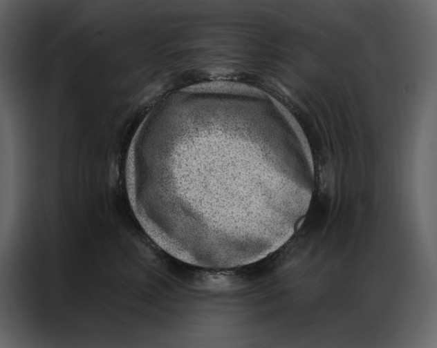 X0000086980618200705071418