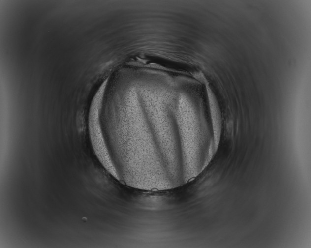 X0000086980620200705071418