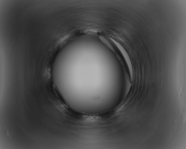 X0000086980621200705071418