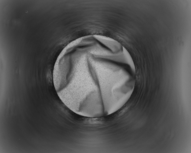 X0000086980622200705071418