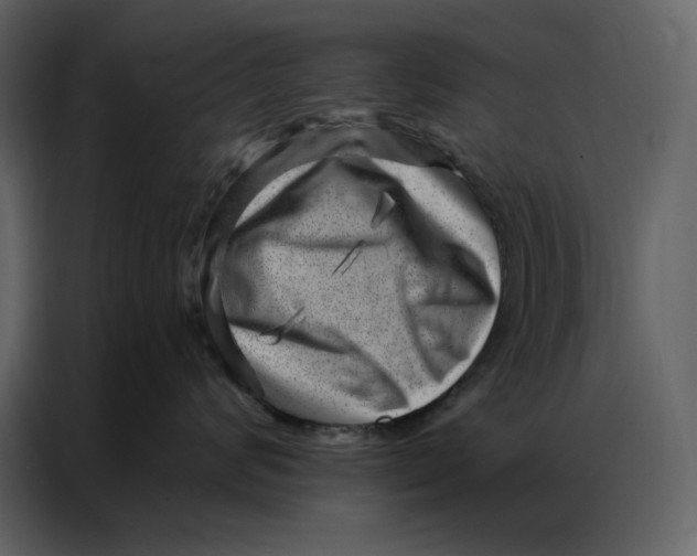 X0000086980624200705071418