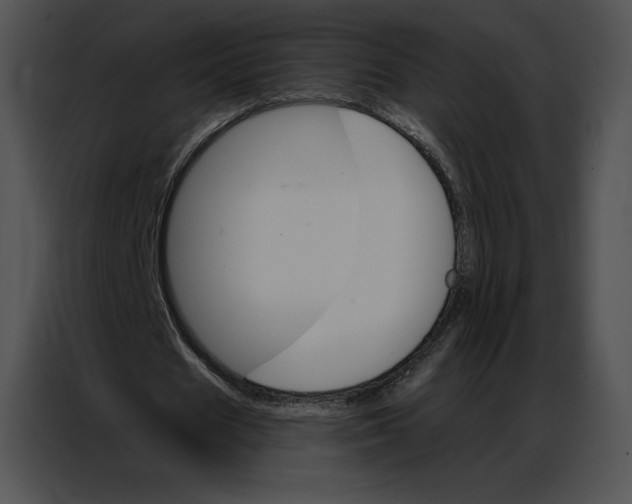 X0000086980625200705071417