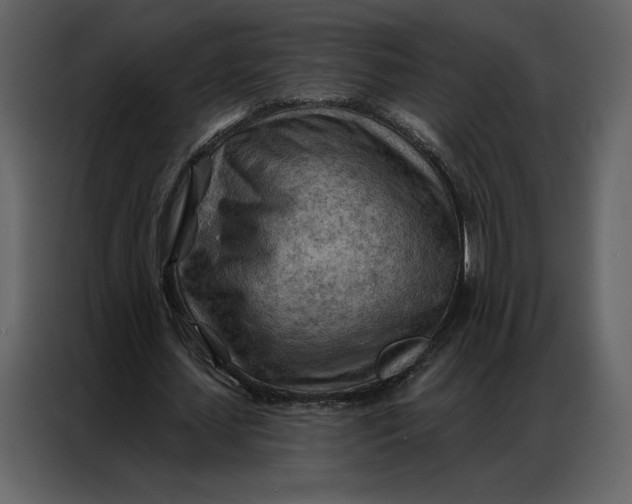 X0000086980627200705071417