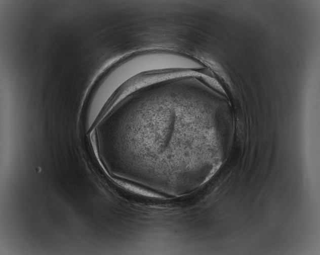 X0000086980628200705071417