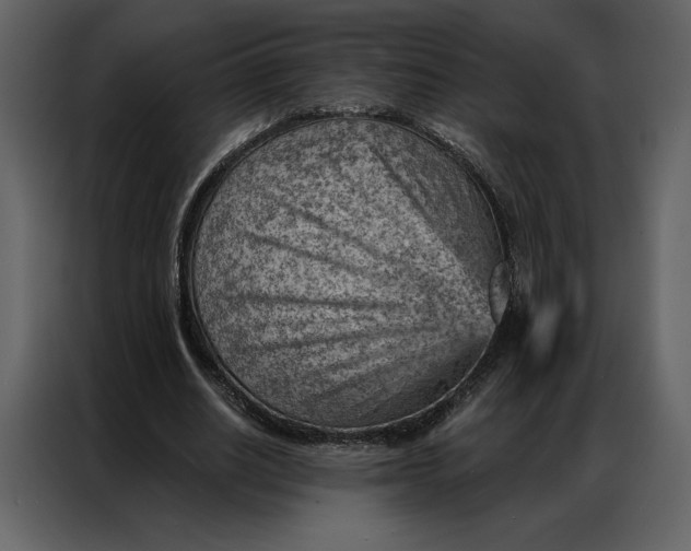 X0000086980630200705071417