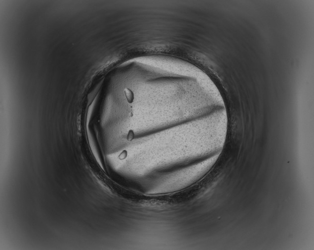 X0000086980633200705071417