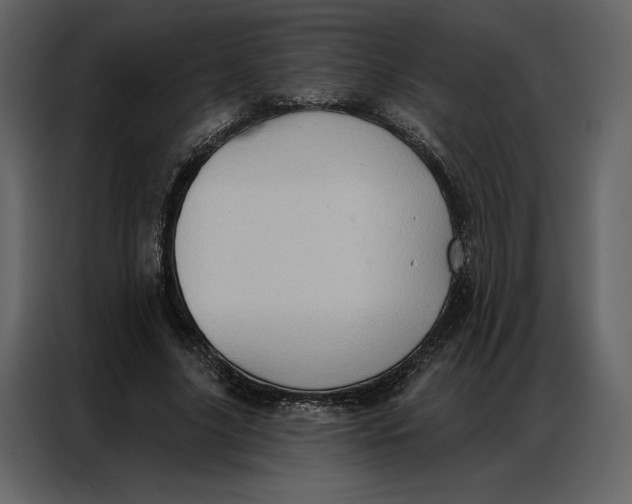 X0000086980635200705071417