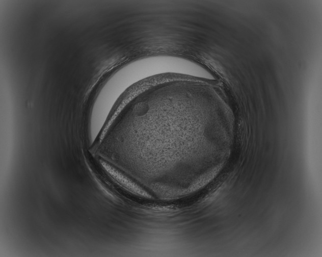 X0000086980638200705071417