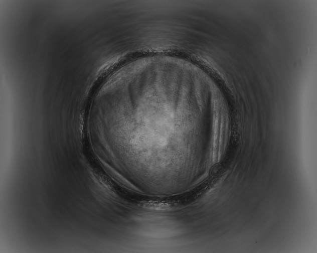 X0000086980640200705071417