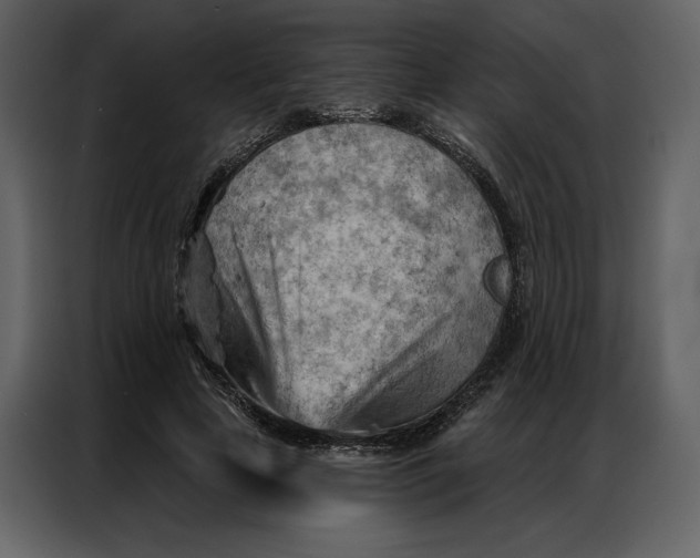 X0000086980641200705071417