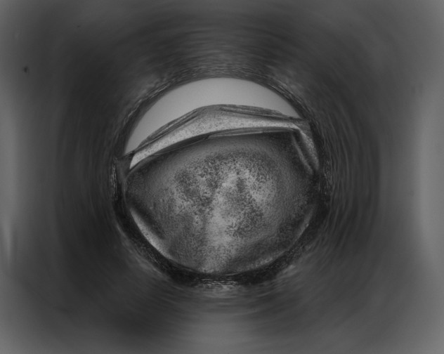 X0000086980642200705071417