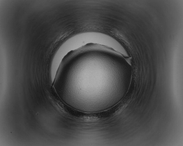 X0000086980644200705071417