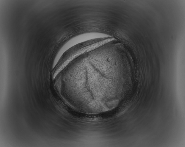 X0000086980646200705071417