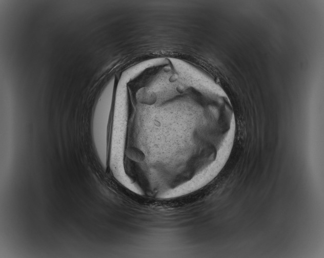 X0000086980648200705071417