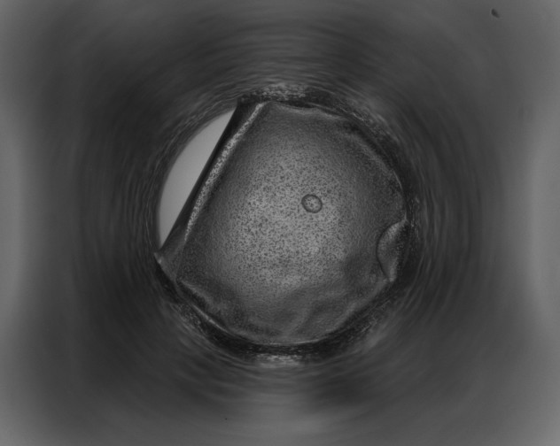 X0000086980649200705071417