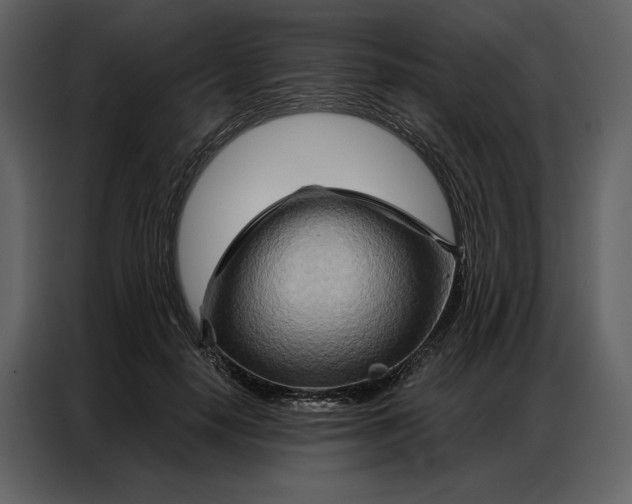 X0000086980650200705071417