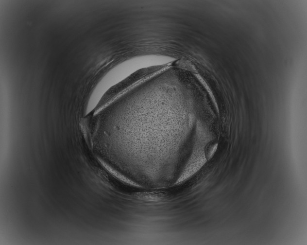 X0000086980652200705071417