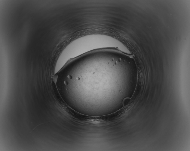 X0000086980654200705071418