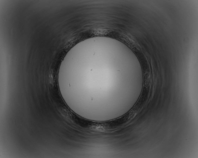 X0000086980655200705071418