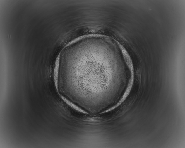 X0000086980657200705071418