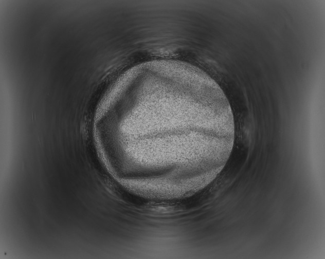 X0000086980658200705071418