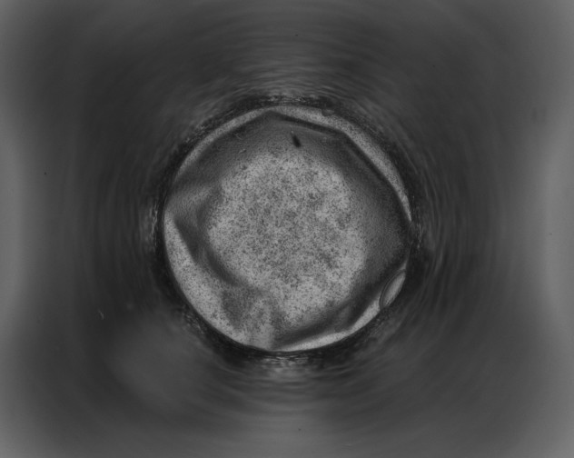 X0000086980660200705071418