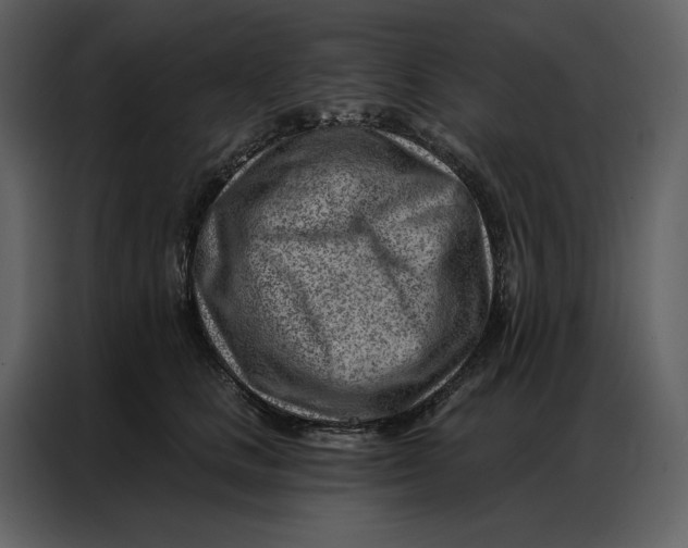 X0000086980661200705071418