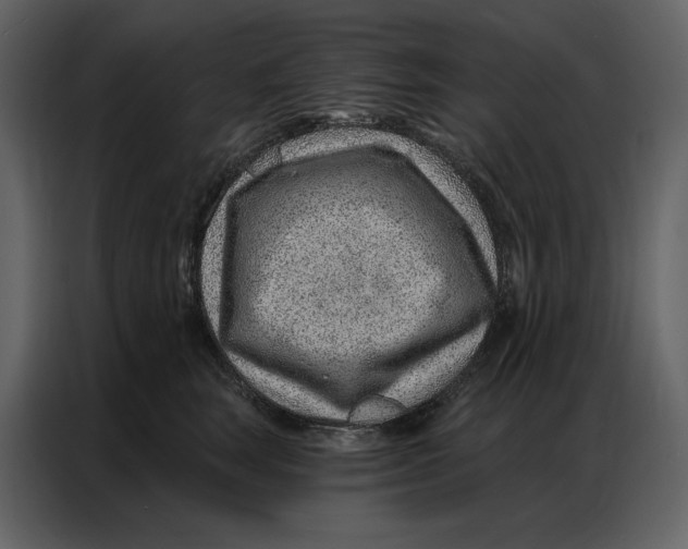 X0000086980663200705071418