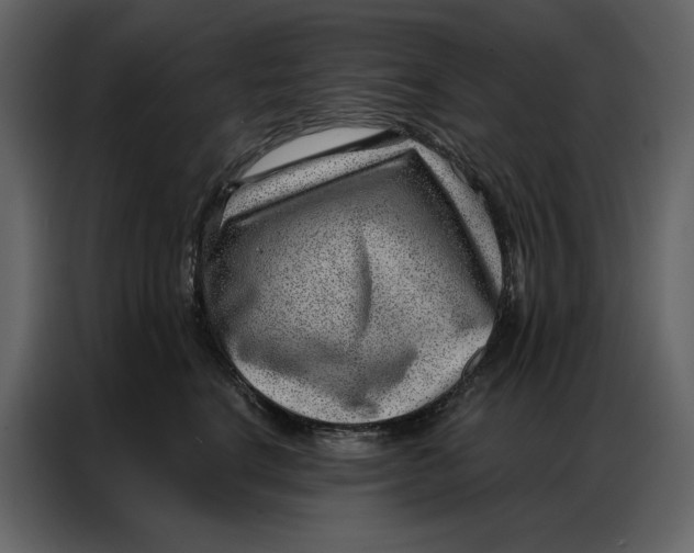 X0000086980664200705071418