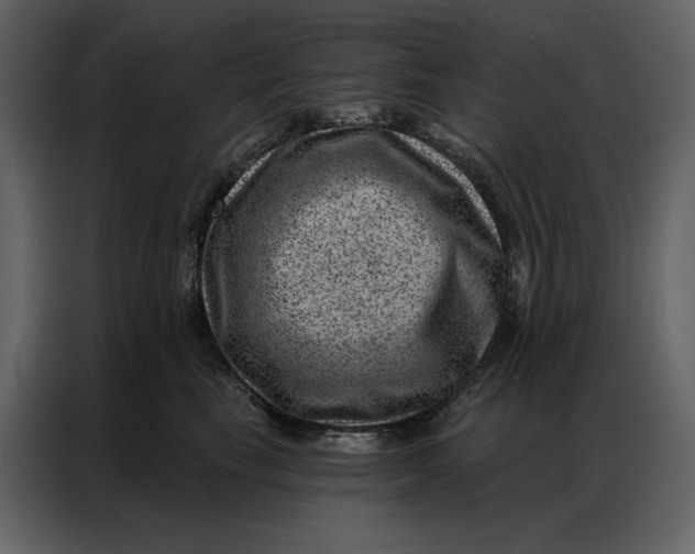 X0000086980665200705071418