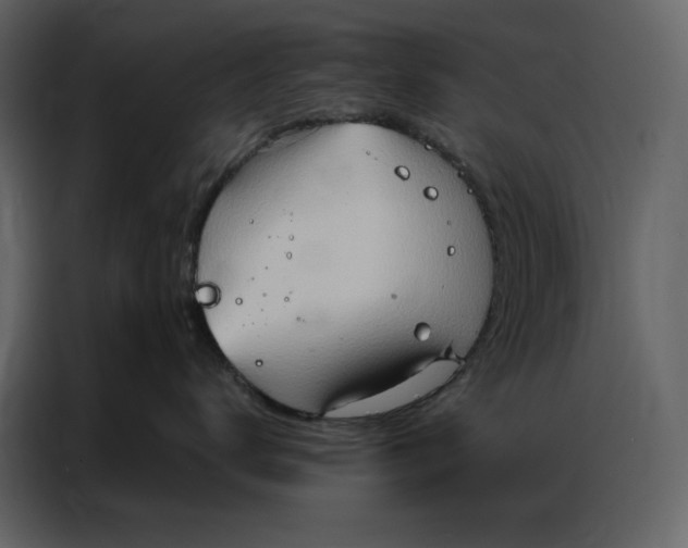 X0000086980672200705071418