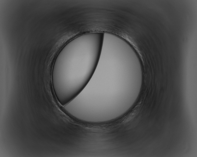 X0000086980673200705071417