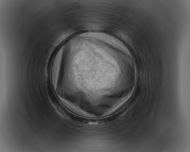 X0000086980674200705071417