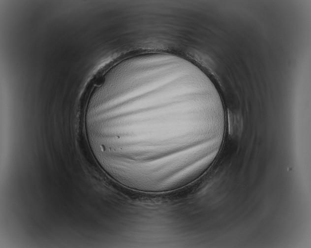 X0000086980675200705071417